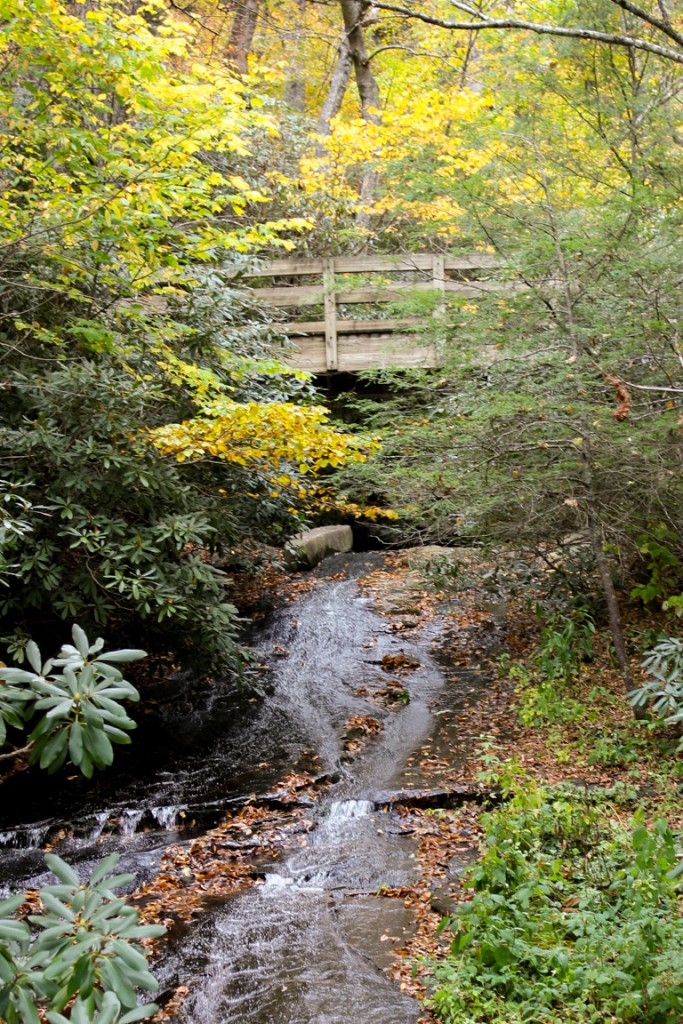 Rough Ridge Waterfall