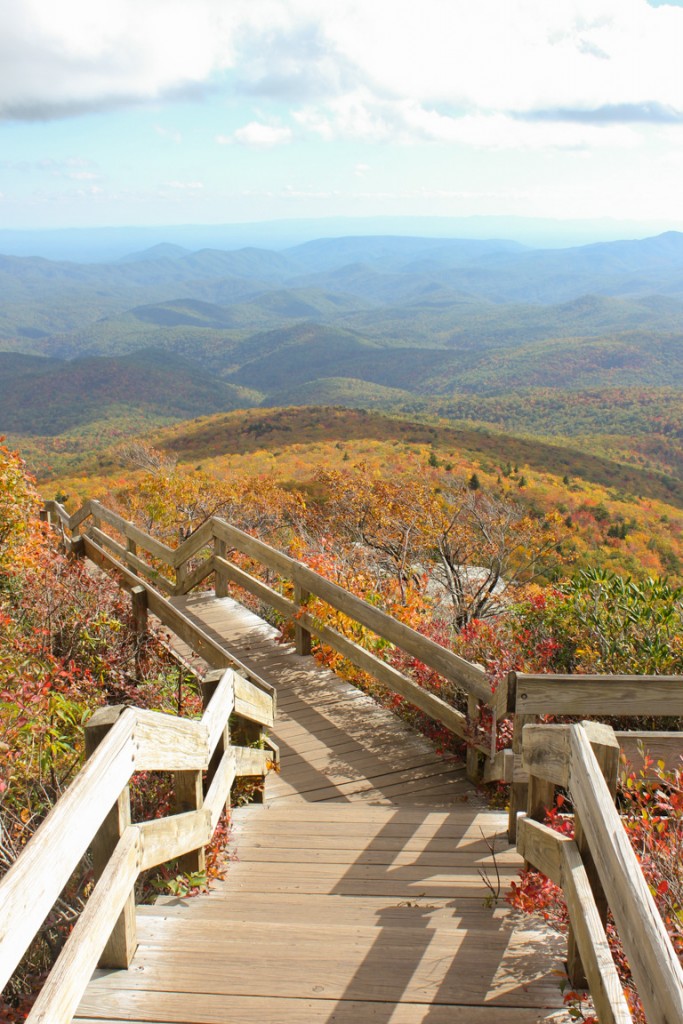 Rough Ridge Boardwalk
