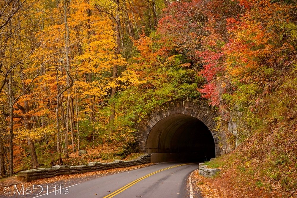 "Newfound Gap Road, Late Fall" by M&D Hills Photography