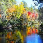 "Reflections from the Linville Falls Bridge" by Thomas Harper