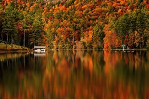 "Fairfield Lake, Sapphire Valley, Cashiers, NC" by Carey Plemmons