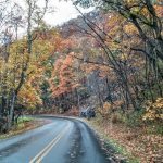 "Rainy Parkway Drive near Asheville" by Renee Russell