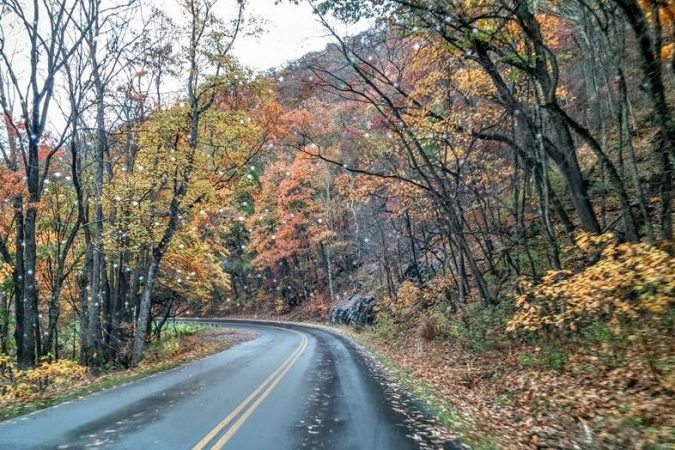 "Rainy Parkway Drive near Asheville" by Renee Russell