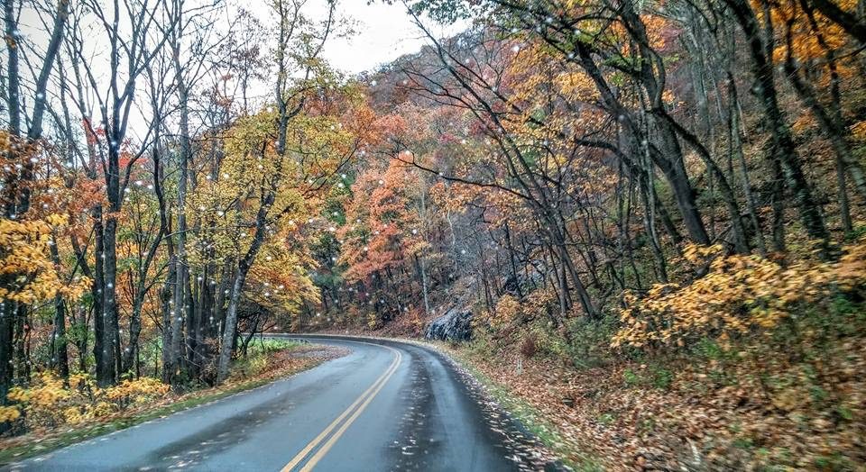 "Rainy Parkway Drive near Asheville" by Renee Russell