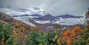"View from Craven Gap Overlook, Milepost 377.4" by Renee Russell