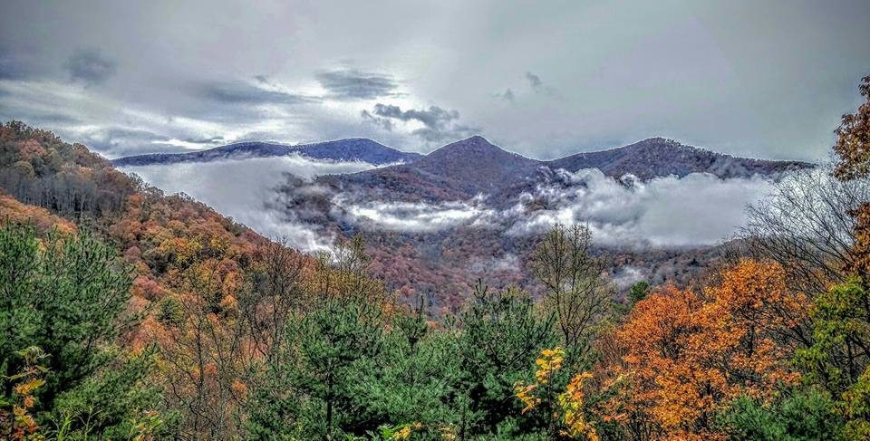 "View from Craven Gap Overlook, Milepost 377.4" by Renee Russell