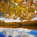"Fall Reflections at Price Lake" by J. Scott Graham
