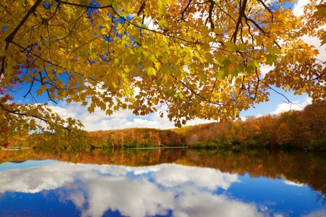 "Fall Reflections at Price Lake" by J. Scott Graham