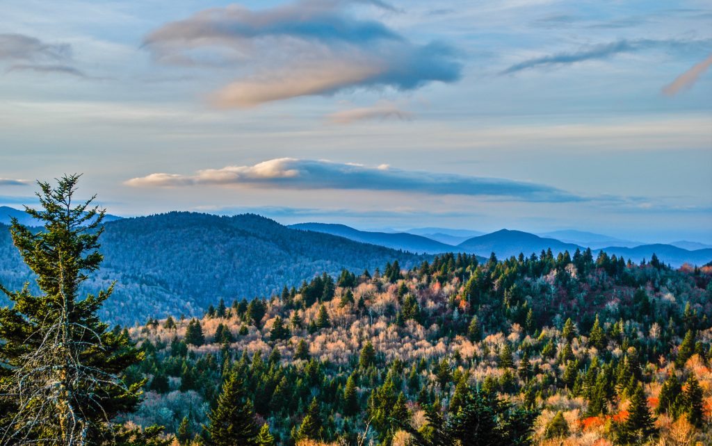 "Winter Sunset on the Mountains-to-Sea Trail" by Daniel Plotts