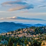 "Winter Sunset on the Mountains-to-Sea Trail" by Daniel Plotts