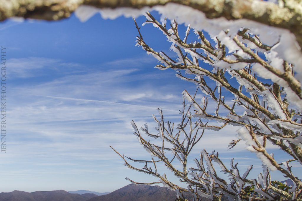 "Icy Trees at Craggy Pinnacle, Milepost 364.1" by Jennifer Mesk Photography