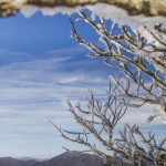 "Icy Trees at Craggy Pinnacle, Milepost 364.1" by Jennifer Mesk Photography