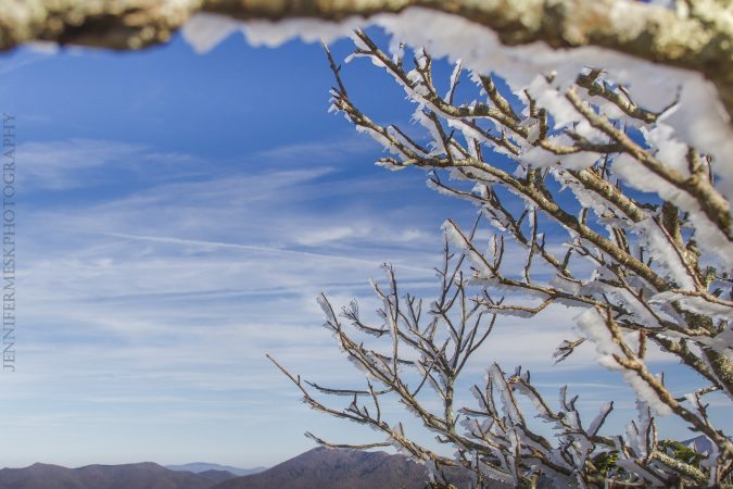 "Icy Trees at Craggy Pinnacle, Milepost 364.1" by Jennifer Mesk Photography