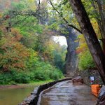 "Natural Bridge, Milepost 61.6" by Yolanda Perez