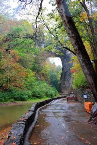 "Natural Bridge, Milepost 61.6" by Yolanda Perez