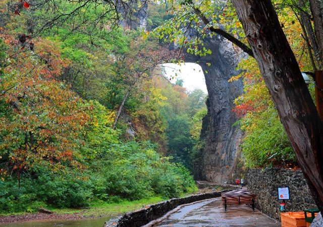 "Natural Bridge, Milepost 61.6" by Yolanda Perez