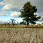 "Shenandoah Valley" by Timothy Wright