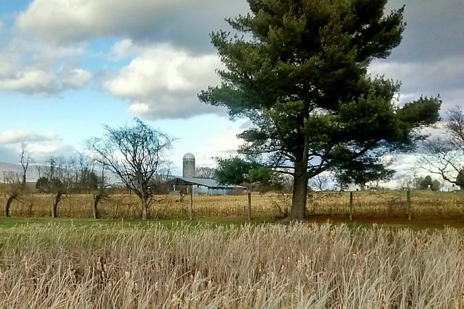 "Shenandoah Valley" by Timothy Wright