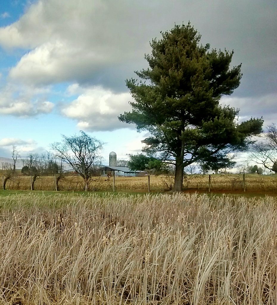 "Shenandoah Valley" by Timothy Wright