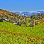 "Valley Farm near Mt. Mitchell" by Tricycle Studios