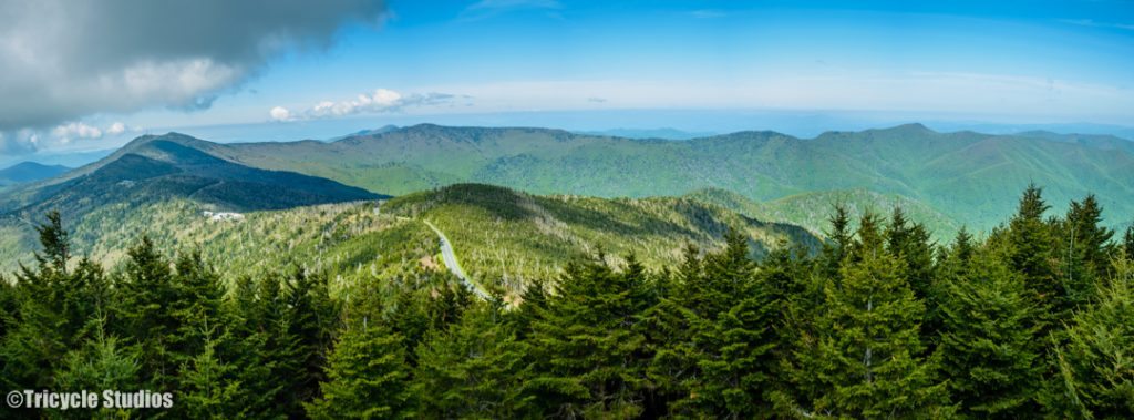 "Summer at Mt. Mitchell" by Tricycle Studios