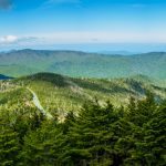 "Summer at Mt. Mitchell" by Tricycle Studios