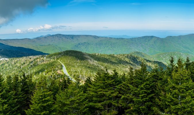 "Summer at Mt. Mitchell" by Tricycle Studios