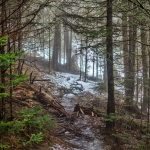 "Snowy Trail at Mt. Hardy" by Daniel Plotts