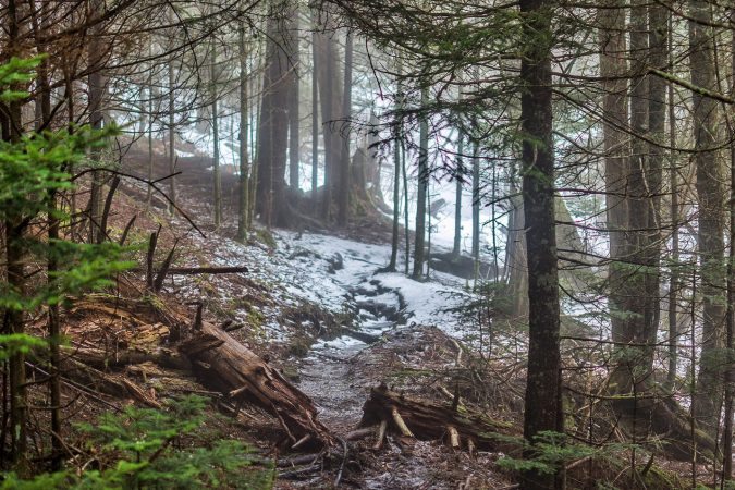 "Snowy Trail at Mt. Hardy" by Daniel Plotts