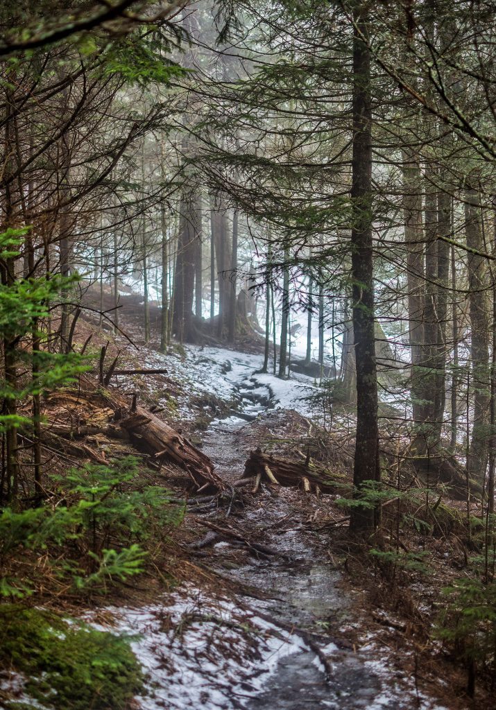 "Snowy Trail at Mt. Hardy" by Daniel Plotts