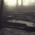 "Foggy Trails at Pilot Mountain" by Tootsie Ann Photography