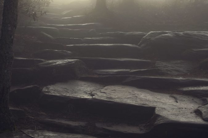 "Foggy Trails at Pilot Mountain" by Tootsie Ann Photography