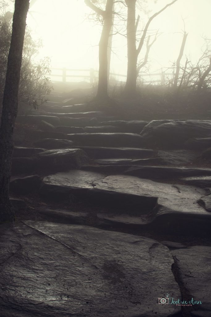 "Foggy Trails at Pilot Mountain" by Tootsie Ann Photography