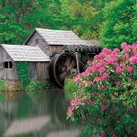 "Changing Seasons at Mabry Mill, Milepost 176.1" by J. Scott Graham