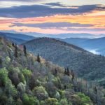 "Early Morning at East Fork Overlook, Milepost 418.3" by Tim Williams