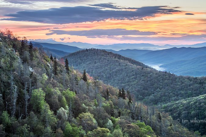 "Early Morning at East Fork Overlook, Milepost 418.3" by Tim Williams