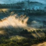 "Pounding Mill Overlook, Milepost 413.2" by Tim Williams