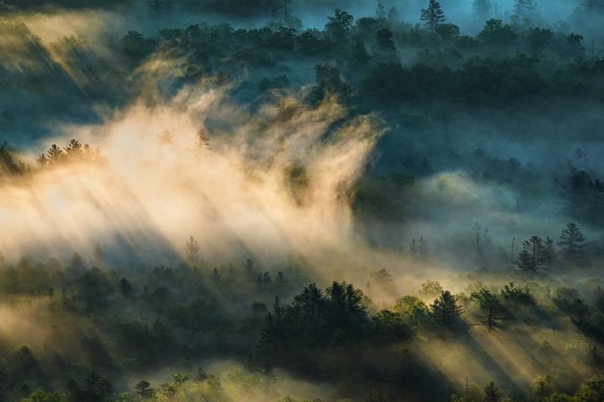 "Pounding Mill Overlook, Milepost 413.2" by Tim Williams