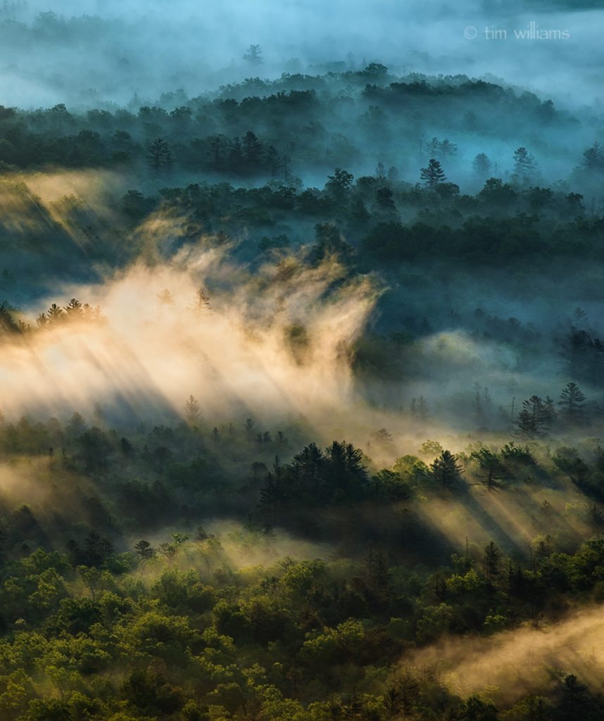 "Pounding Mill Overlook, Milepost 413.2" by Tim Williams