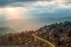 "Parkway View from Waterrock Knob, Milepost 451" by Solitary Traveler Photography