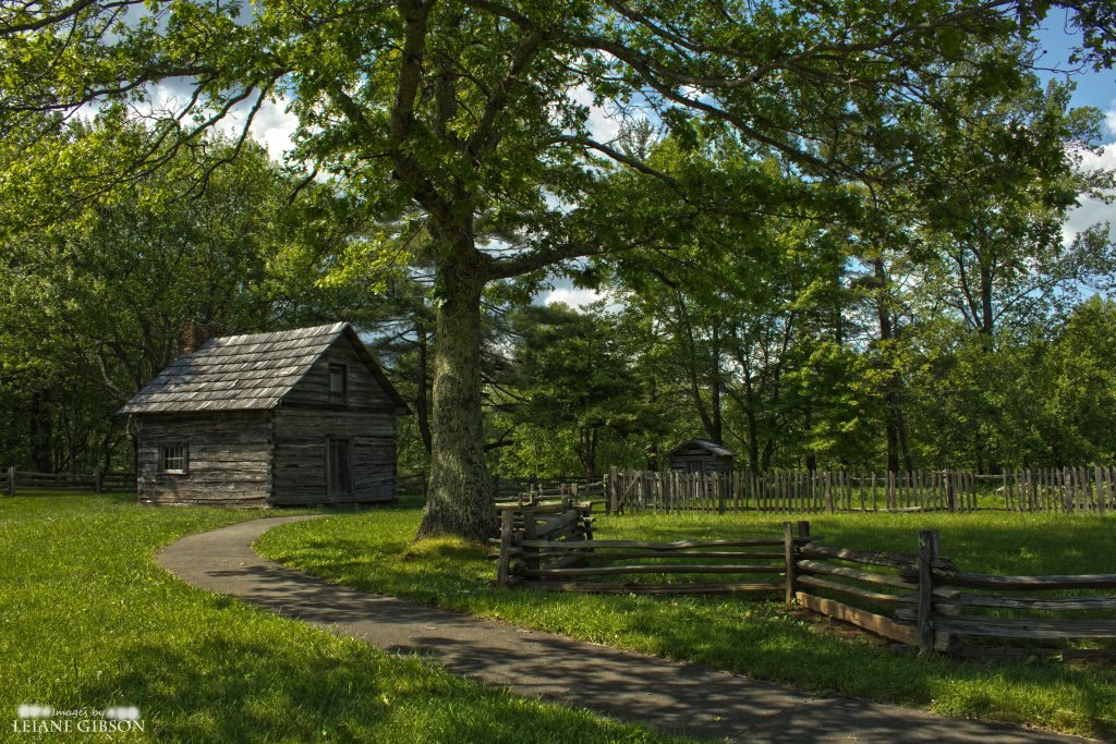 "The Puckett Cabin, Milepost 190" by Leiane Gibson