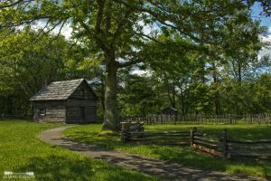"The Puckett Cabin, Milepost 190" by Leiane Gibson
