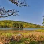 "Summer at Bass Lake" by Angie Houston