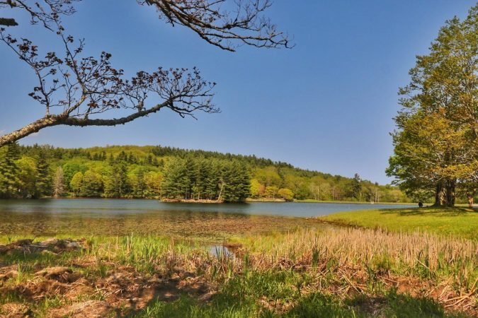 "Summer at Bass Lake" by Angie Houston