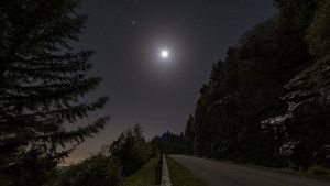 "Near Mt. Mitchell, Milepost 357" by Kevin Dobo