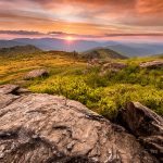 "Black Balsam Knob, Milepost 420" by Tim Williams