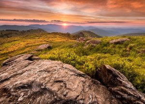 "Black Balsam Knob, Milepost 420" by Tim Williams