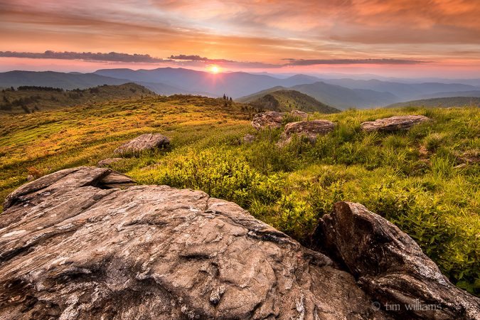 "Black Balsam Knob, Milepost 420" by Tim Williams