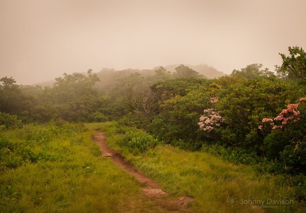 "Fog on Craggy Pinnacle" by Johnny Davidson
