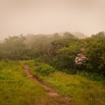 "Fog on Craggy Pinnacle" by Johnny Davidson